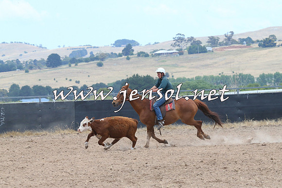 BraidwoodCampdraft2014_1162