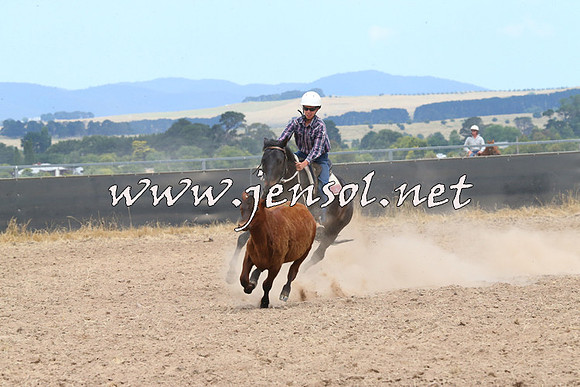 BraidwoodCampdraft2014_1270