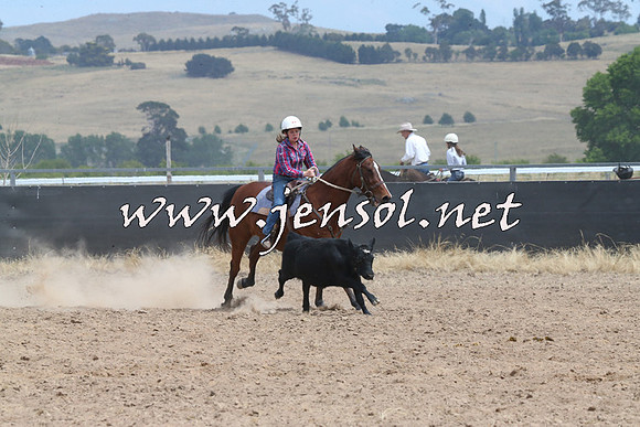 BraidwoodCampdraft2014_1303