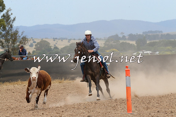 BraidwoodCampdraft2014_1180