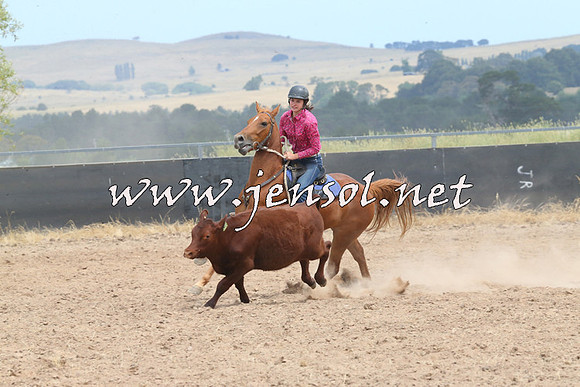 BraidwoodCampdraft2014_1312