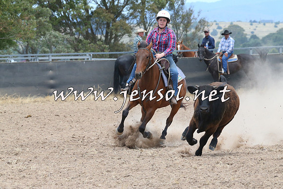 BraidwoodCampdraft2014_1154
