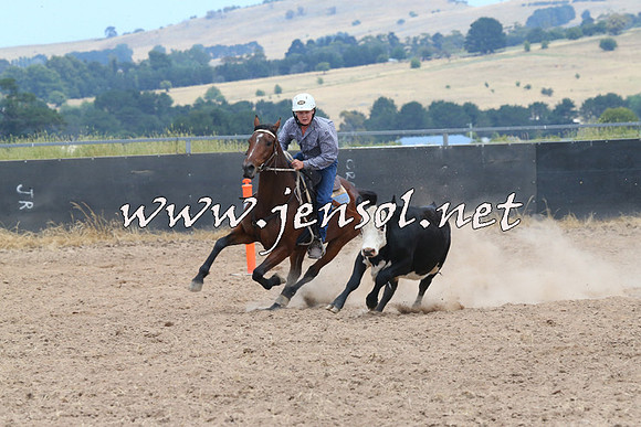 BraidwoodCampdraft2014_1211