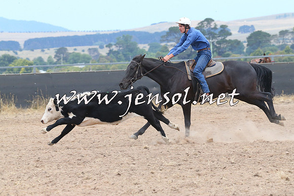 BraidwoodCampdraft2014_1219