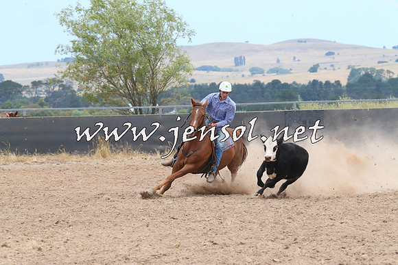 BraidwoodCampdraft2014_1222