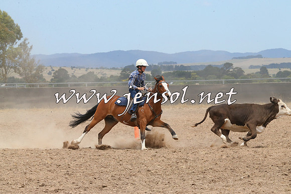BraidwoodCampdraft2014_1239