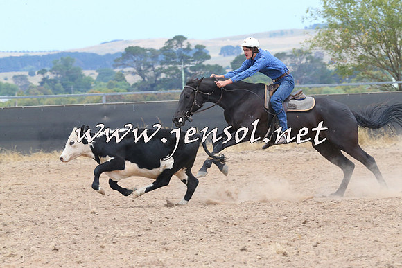 BraidwoodCampdraft2014_1220