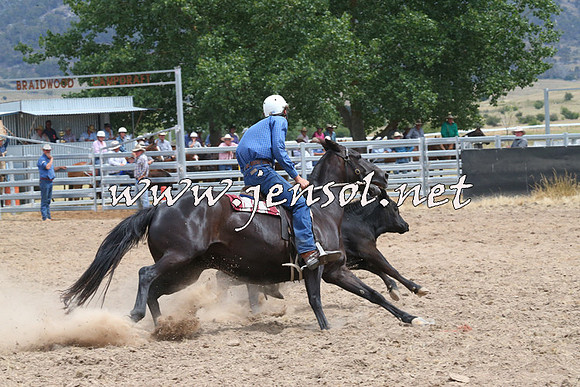 BraidwoodCampdraft2014_1292