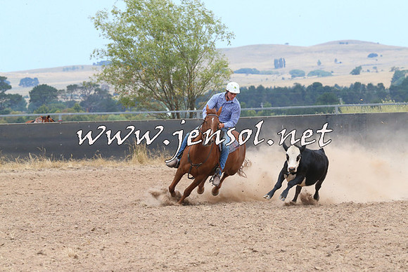 BraidwoodCampdraft2014_1221