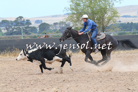 BraidwoodCampdraft2014_1216