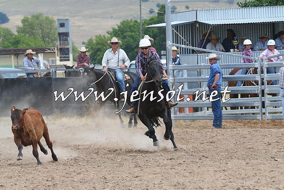 BraidwoodCampdraft2014_1277