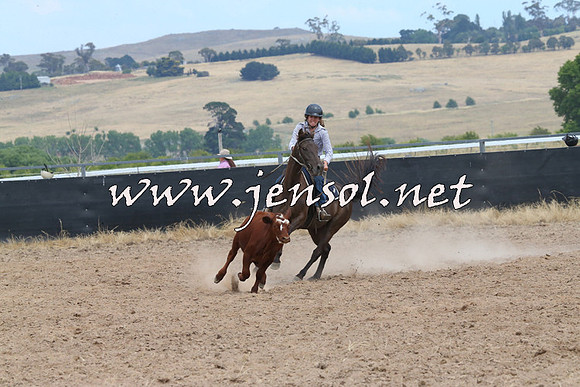BraidwoodCampdraft2014_1261