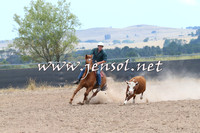 BraidwoodCampdraft2014_1163