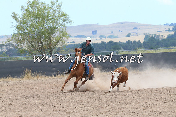 BraidwoodCampdraft2014_1163