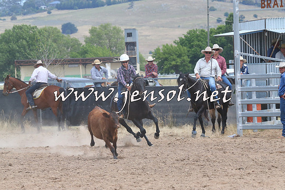 BraidwoodCampdraft2014_1282