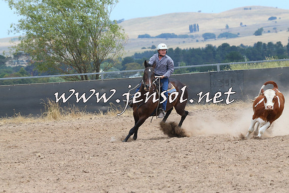 BraidwoodCampdraft2014_1263