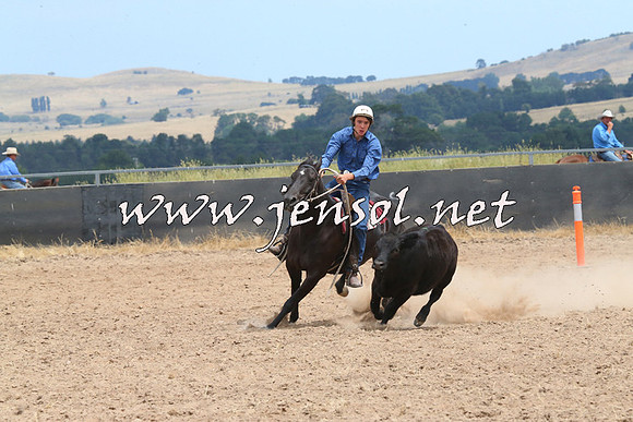 BraidwoodCampdraft2014_1291