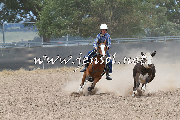 BraidwoodCampdraft2014_1231