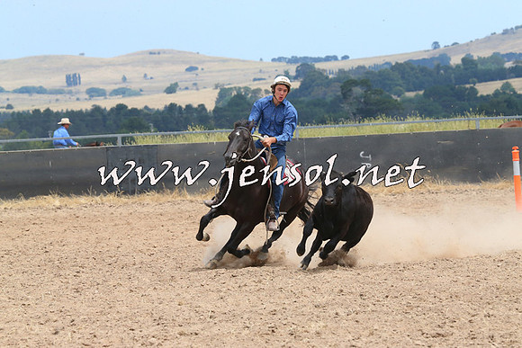 BraidwoodCampdraft2014_1288