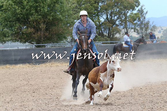 BraidwoodCampdraft2014_1183