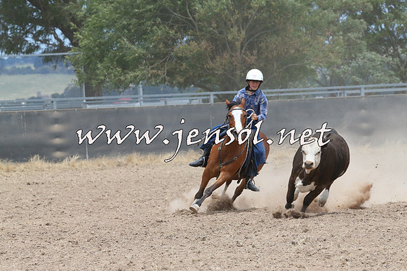 BraidwoodCampdraft2014_1227