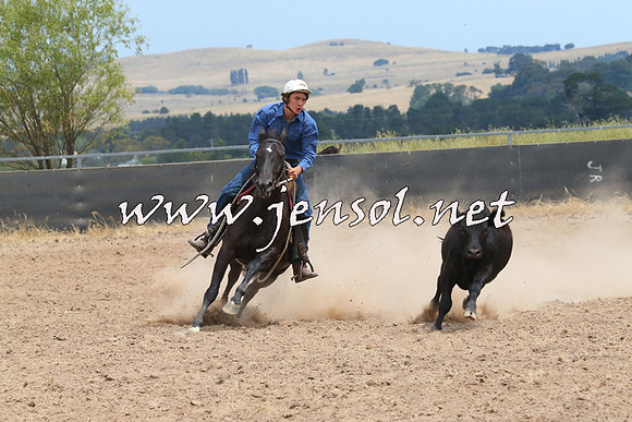 BraidwoodCampdraft2014_1286