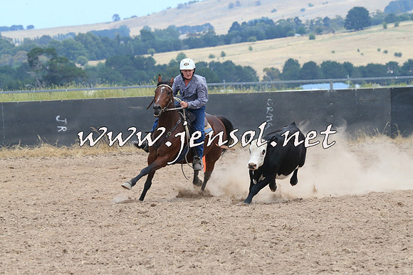 BraidwoodCampdraft2014_1209