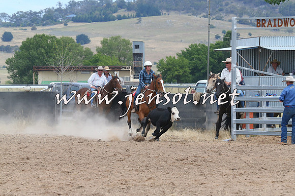BraidwoodCampdraft2014_1259