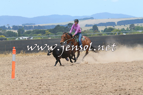BraidwoodCampdraft2014_1200