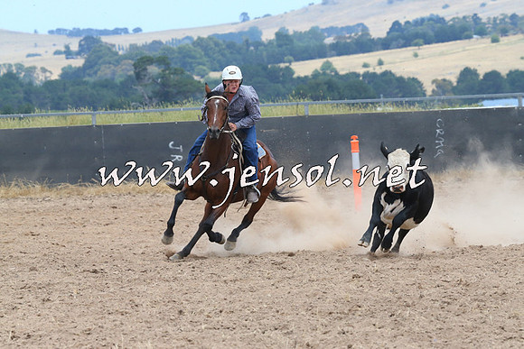 BraidwoodCampdraft2014_1208