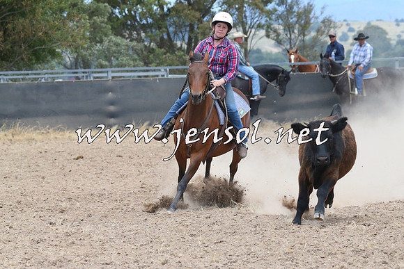 BraidwoodCampdraft2014_1158