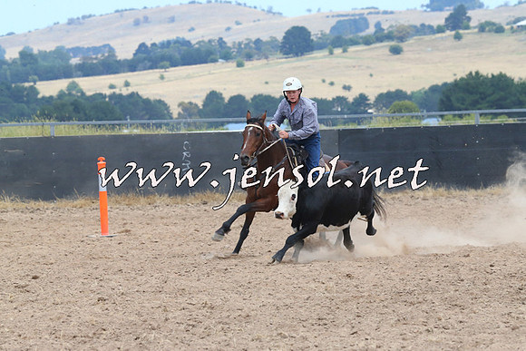 BraidwoodCampdraft2014_1206