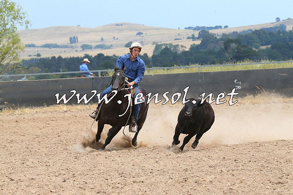 BraidwoodCampdraft2014_1284