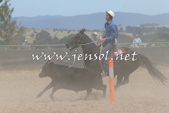 BraidwoodCampdraft2014_1297