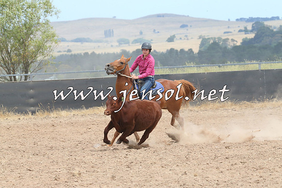 BraidwoodCampdraft2014_1313