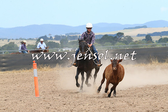 BraidwoodCampdraft2014_1267