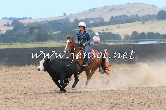 BraidwoodCampdraft2014_1212