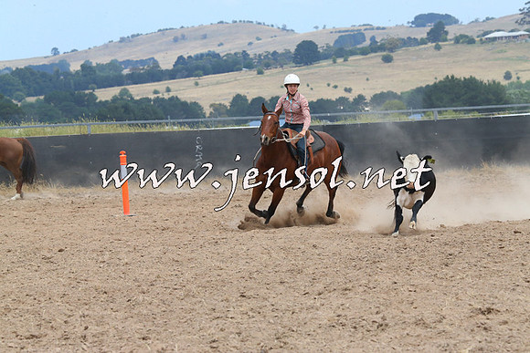 BraidwoodCampdraft2014_1251
