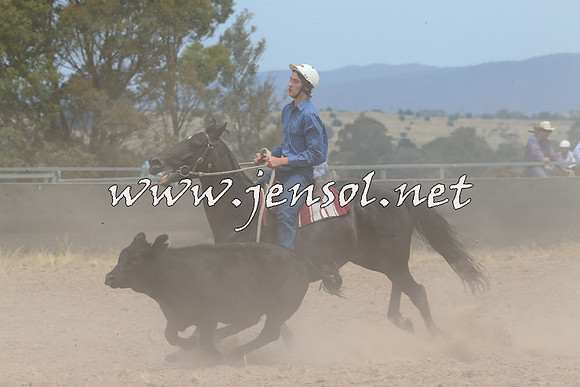 BraidwoodCampdraft2014_1296