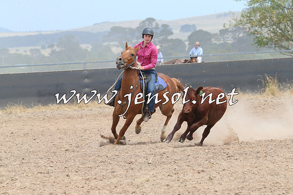 BraidwoodCampdraft2014_1319