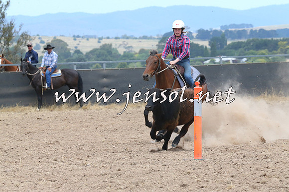 BraidwoodCampdraft2014_1155