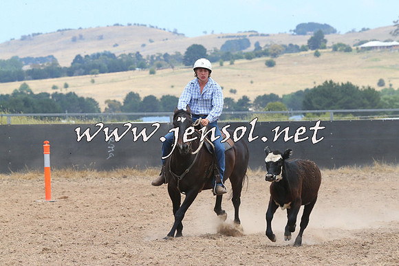 BraidwoodCampdraft2014_1203
