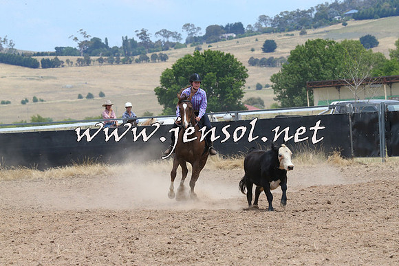 BraidwoodCampdraft2014_1189