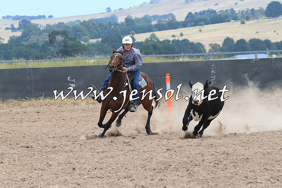 BraidwoodCampdraft2014_1210