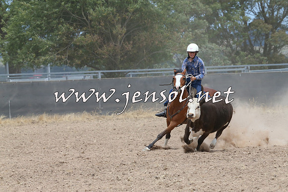 BraidwoodCampdraft2014_1237