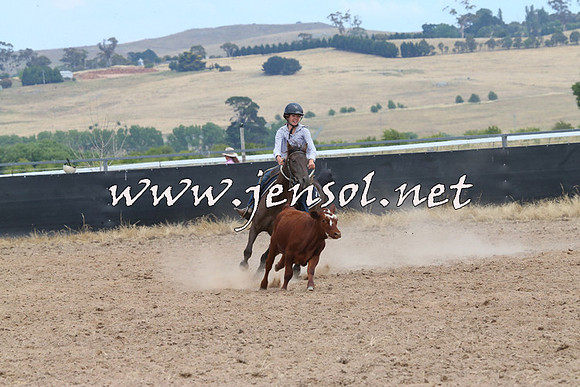 BraidwoodCampdraft2014_1260