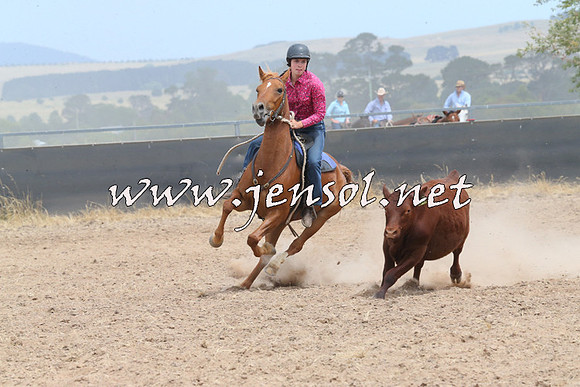 BraidwoodCampdraft2014_1318
