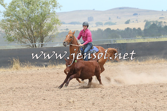 BraidwoodCampdraft2014_1311