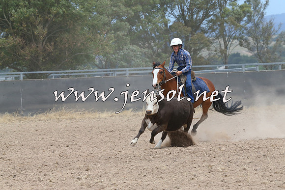 BraidwoodCampdraft2014_1234