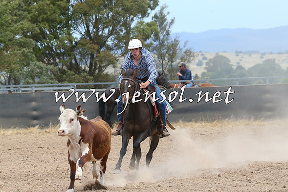 BraidwoodCampdraft2014_1177